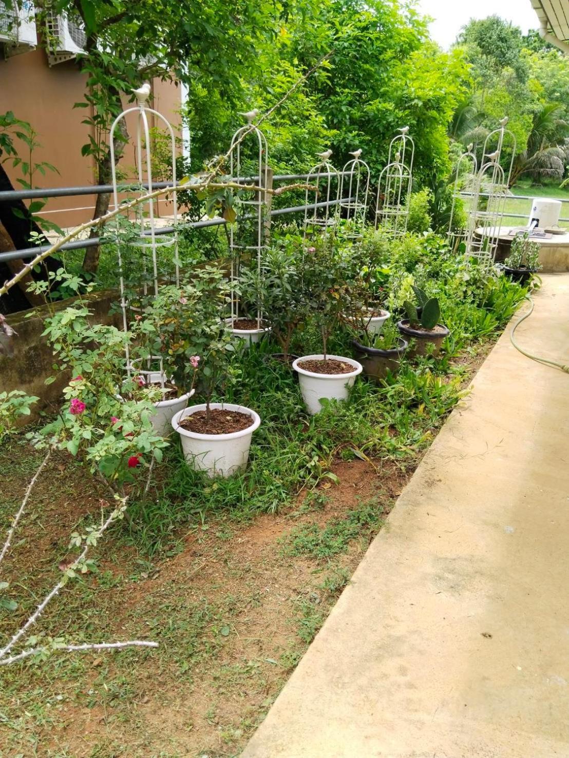 Thanid House Ban Nai Khlong Buitenkant foto